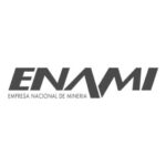 Enami-logo